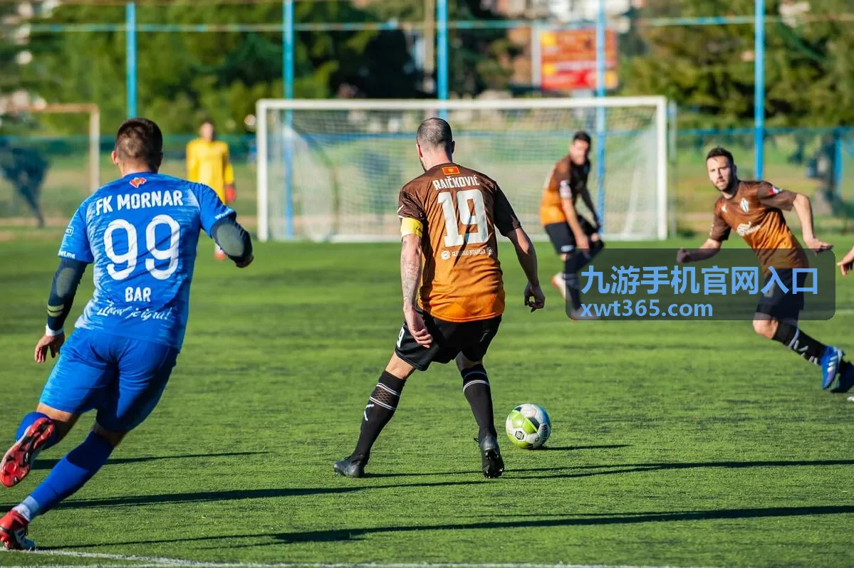 九游手机官网入口手机版信息分类说明图